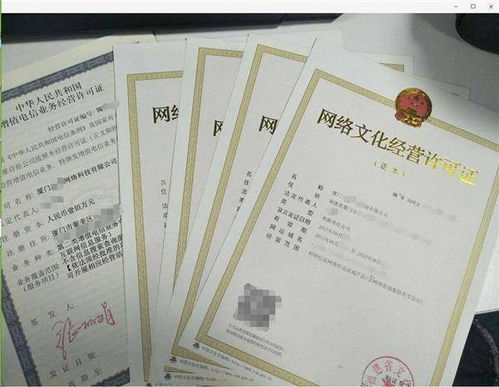 網(wǎng)絡文化經營許可證全省通辦 廈門、漳州、龍巖、泉州、福州率先落地
